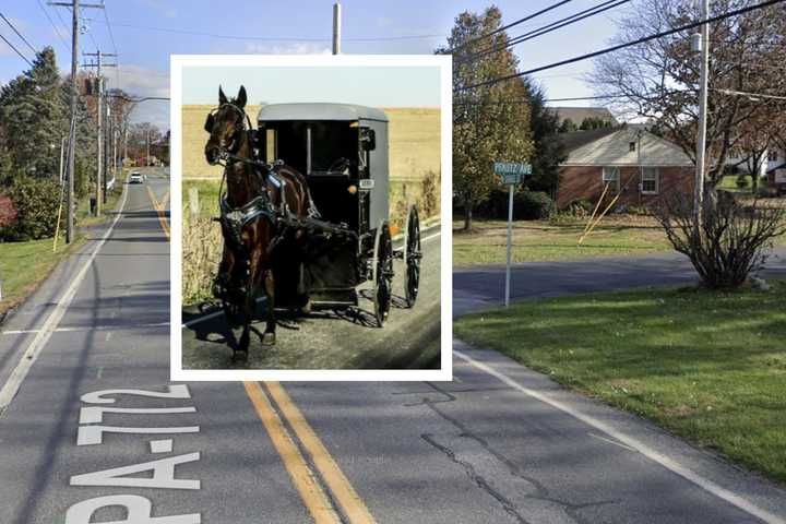 Drunk Driver Flips Horse And Buggy In Pennsylvania Crash: Police