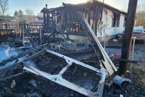 Woman Rushes To Save Dogs As Flames Tears Through Maryland Home: Fire Marshal