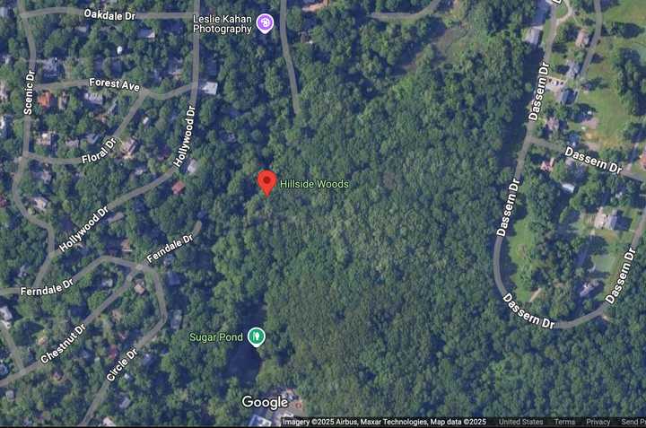 The large gathering was broken up in the Hillside Woods in Hastings-on-Hudson, police said. 