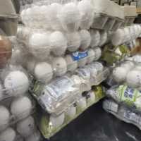 Egg Smuggling Soars As US Prices Spike, Fentanyl Seizures Drop: CBP