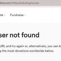 <p>The now-defunct GoFundMe</p>