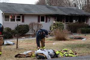 2 Dogs Die In House Fire In Dutchess: Family Now Rebuilding, In Need Of Help