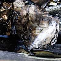<p>The interior of the firebombed Pennsylvania Governor's Mansion. </p>