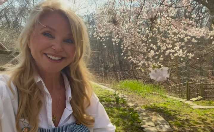 Christie Brinkley 