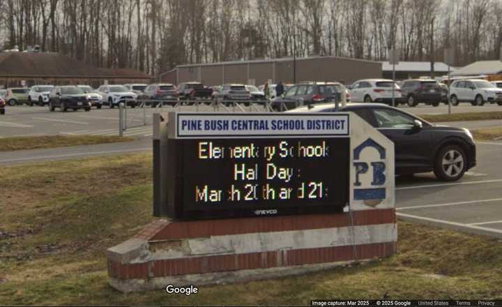 The checks were stolen from the Pine Bush Central School District, police said. 