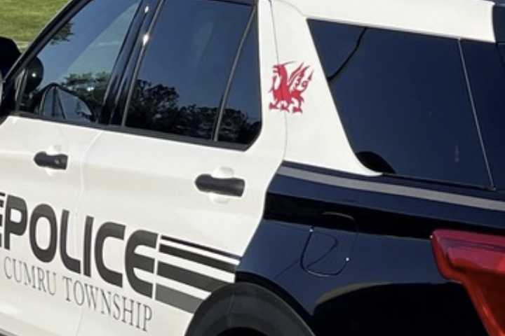 Decomposed Female Body Found In Pennsylvania Woods: DA