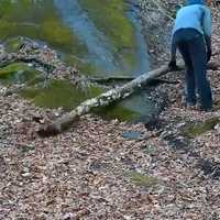 Peekskill Man Purposefully Puts Tree Limbs, Other Debris On Bike Trail: Police