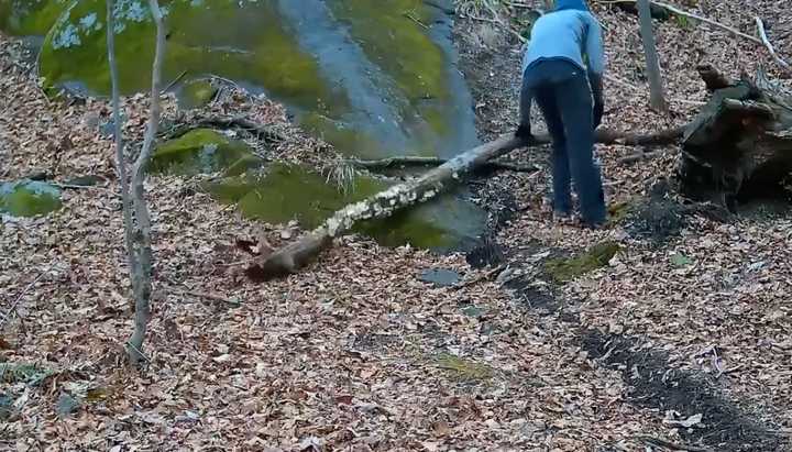 Footage from a trail camera showed the suspect placing debris on the bike path, police said. 