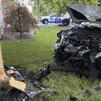 Two Kids, Adult Severely Injured When SUV Crashes Into Tree In PA: Police