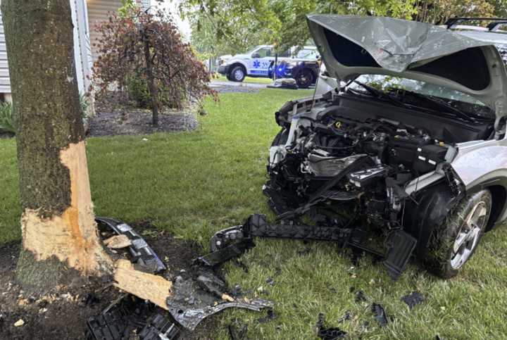 The scene of the serious crash into a tree