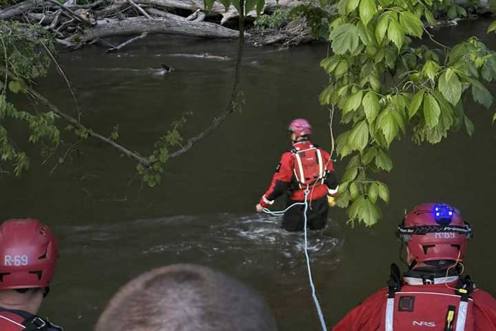 Kayaker Rescued From Debris-Filled Yellow Breeches Creek: Central PA Firefighters