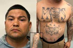 Tattooed MS-13 Gang Member Wanted For Gun Crimes In El Salvador Nabbed In Maryland: ICE