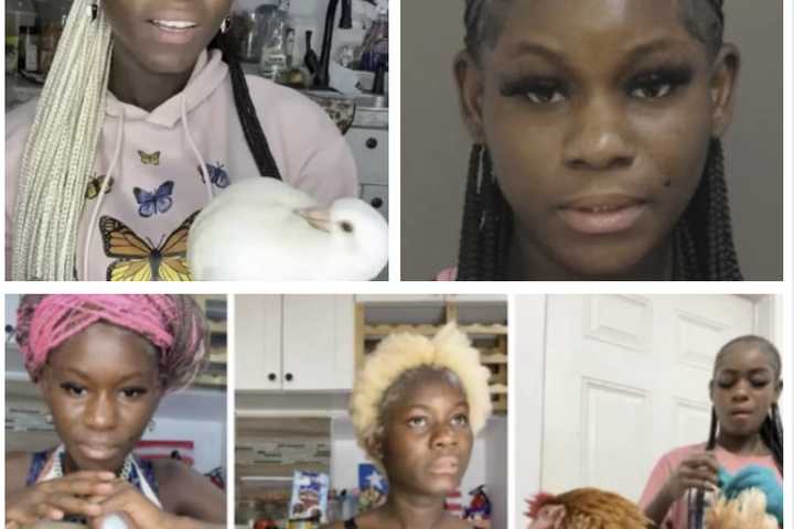 Mom Who Tortured Animals On YouTube Launches GoFundMe To Stop Trump From Deporting Her