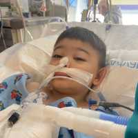 Boy, 5, Awake, Begins Tough Recovery After Devastating Lawn Mower Accident In Maryland