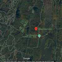 Turkey Hunter Shot In Face In Hudson Valley Forest, Suspect In Custody: NYSP