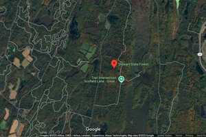 Turkey Hunter Shot In Face In Stewart State Forest In New Windsor, Suspect In Custody: NYSP