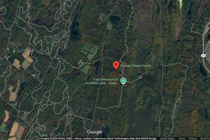 Turkey Hunter Shot In Face In Stewart State Forest In New Windsor, Suspect In Custody: NYSP