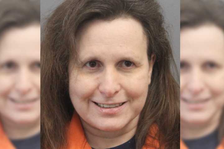 Kitten Dies, 22 Cats Rescued From Area Home In Shocking Cruelty Case, Police Say