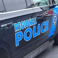 Dogs Locked In Hot Car For 13 Hours In Pennsylvania: Police