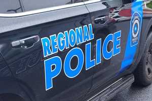 Dogs Locked In Hot Car For 13 Hours In Pennsylvania: Police