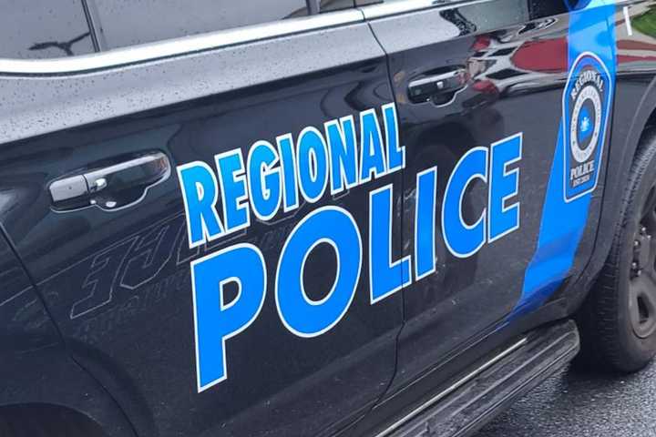 Dogs Locked In Hot Car For 13 Hours In Pennsylvania: Police