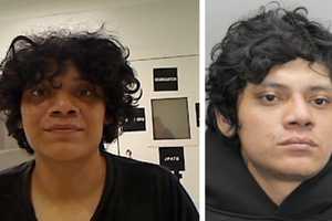 Virginia Gang Member Freed 16 Times In DMV Injures Officer Before Latest Arrest: ICE