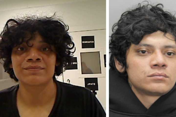 Virginia Gang Member Freed 16 Times In DMV Injures Officer Before Latest Arrest: ICE
