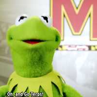 Frog Of Honor: Kermit Leads UMD’s Class Of 2025 Sendoff