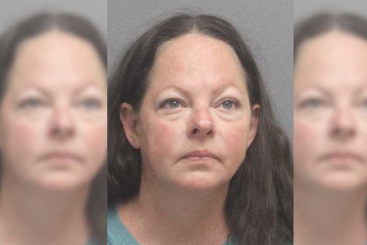 Woodbridge DUI Driver Had 3 Young Kids In Car During Stop In Manassas, Police Say