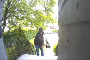 Porch Pirate Caught On Video In Port Chester: Police Seek Help