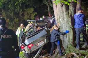 Driver Seriously Injured After Crashing Into Tree In Pomona