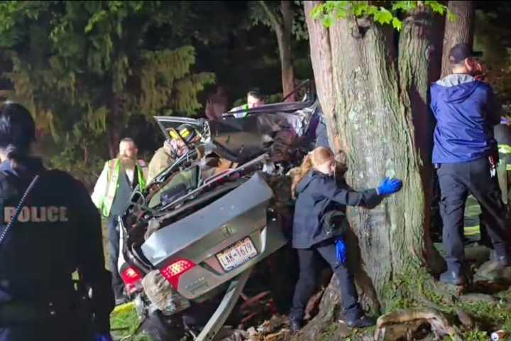 Driver Seriously Injured After Crashing Into Tree In Pomona