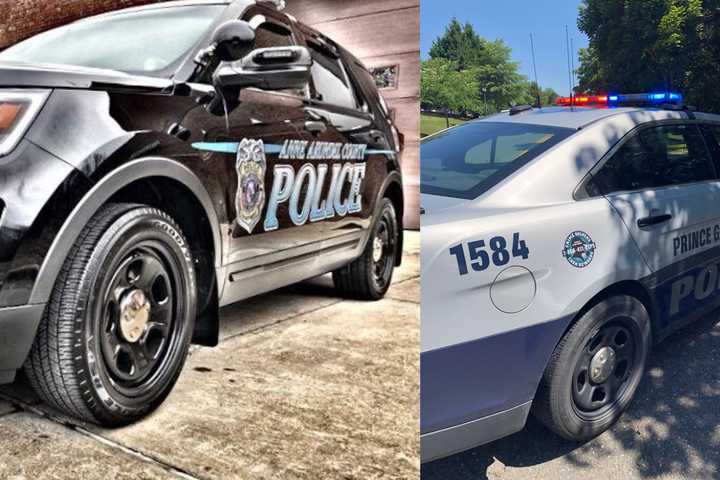 Police Officers In DMV Took Cash Bribes, Filed False Reports In Fraud Scheme: DOJ