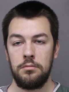 Warminster Man Drowns Dog After Baby Knocked Over: Affidavit
