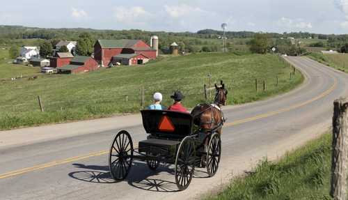 Amish Buggy Passenger Killed In - Screenshot 2025 06 05 165415