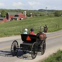 Startled Pony Crashes Cart Into Tractor-Trailer, Injuring Two Children: PA State Police