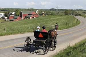 Startled Pony Crashes Cart Into Tractor-Trailer, Injuring Two Children In Lancaster County: PSP