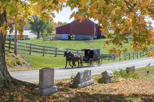 Woman Killed When Motorcyclist Hits Horse And Buggy: PSP Chambersburg