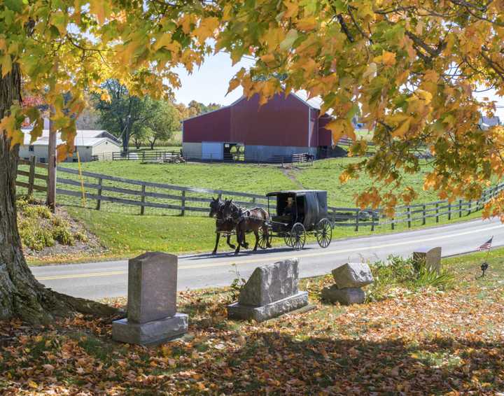 An Amish horse and buggy near a graveyard and farm.&nbsp;
