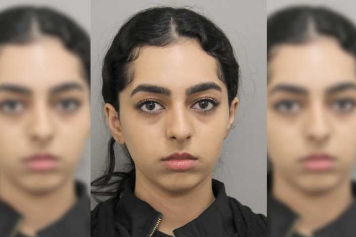 Speeding Teen Charged In Crash That Killed Virginia Mom Of 5 Days Before Birthday: Cops