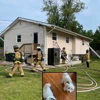 ‘Devastating House Fire’ In DMV Kills 2 Dogs, Destroys Home, Leaves Family Reeling