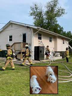 ‘Devastating House Fire’ In Lorton Kills 2 Dogs, Destroys Home, Leaves Family Reeling