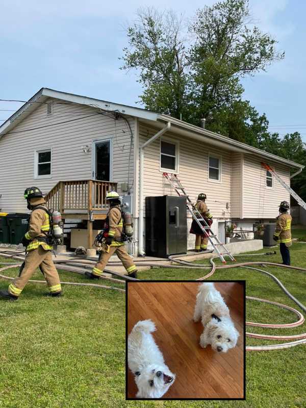 ‘Devastating House Fire’ In Lorton Kills 2 Dogs, Destroys Home, Leaves Family Reeling