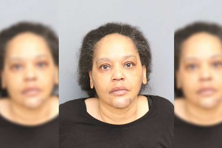 Baby Shower Turns Violent As Indian Head Woman Rams Guests With Car In Waldorf: Sheriff