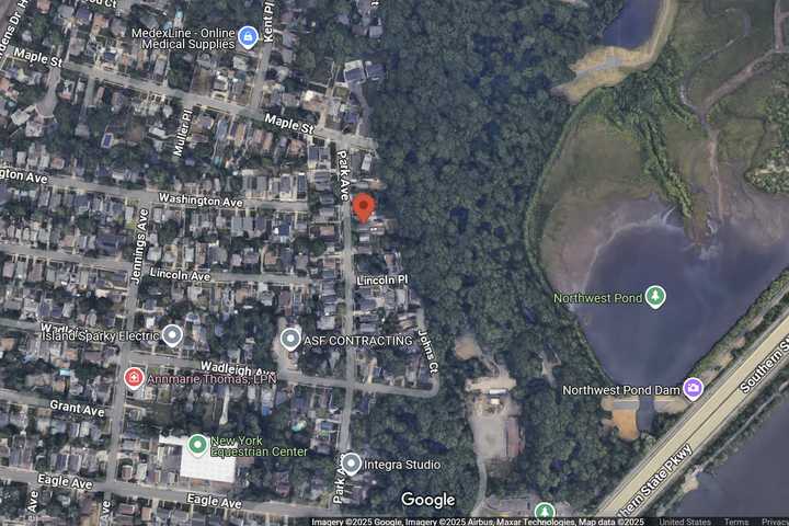 Cat Tortured, Killed By Long Island Man, 26, Inside Park Avenue Home: Police