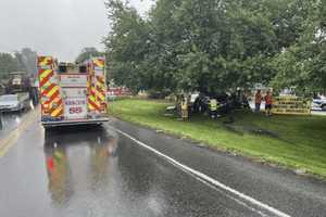 Woman Killed When Subaru Slams Into Tree After Rear-End Crash In Lancaster County: Police