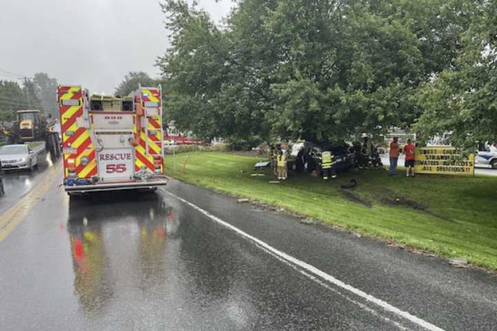 Woman Killed When Subaru Slams Into Tree After Rear-End Crash In Lancaster County: Police