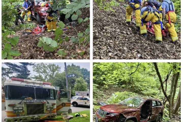 Vehicle Plunges 40 Feet Off Cliffside In Pittsburgh's Highland Park: Public Safety