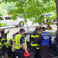Orange County Woman, 24, Killed After Losing Control, Hitting Tree On I-87