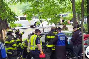 Woman, 24, Killed After Losing Control, Hitting Tree On I-87 In Ramapo